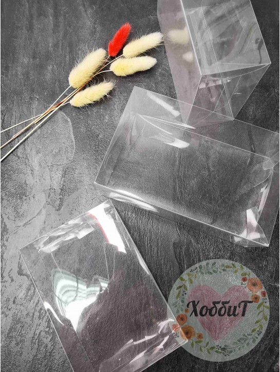 Пластиковая коробка прозрачная 17*5*12см